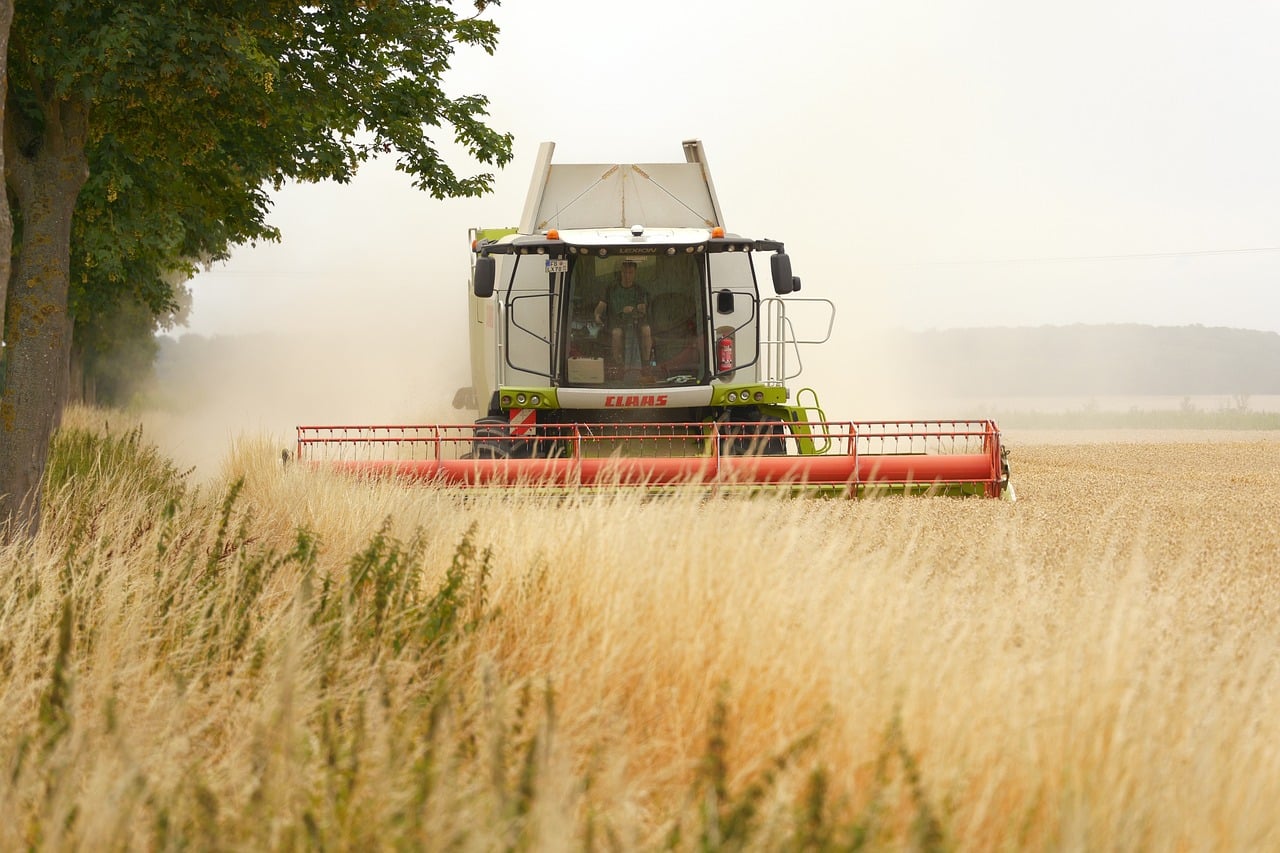 Ukraine Talks with Turkey, India, Egypt Over Grain Corridor