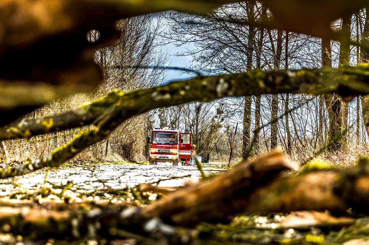 Fire aboard Espirito Santo Express disrupts SX1 service
