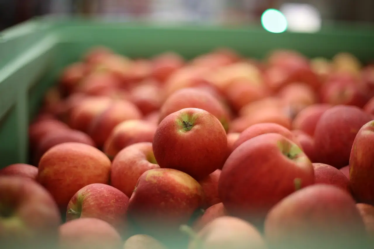 Washington Ranks #13 for Food Import Exposure as Tariffs Threaten Grocery Bills - Omak-Okanogan County Chronicle
