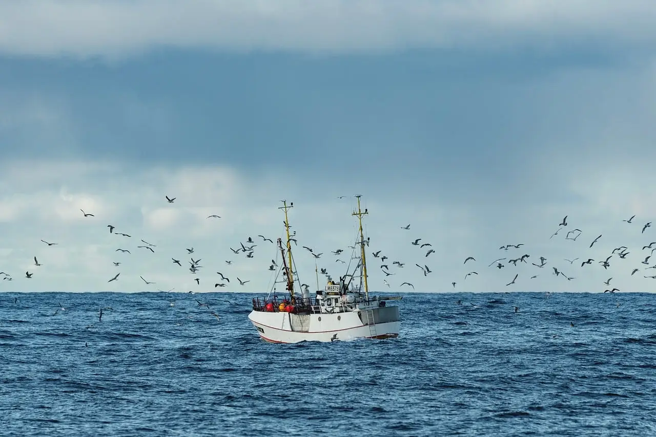 Trump Administration Unveils Seafood Strategy to Boost U.S. Fishing Fleet and Domestic Production